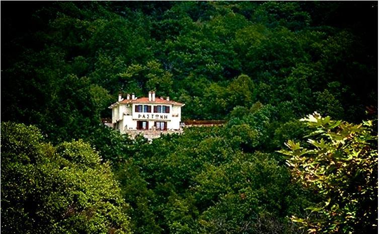Rastoni Pelion Hotel Vizítsa Eksteriør billede