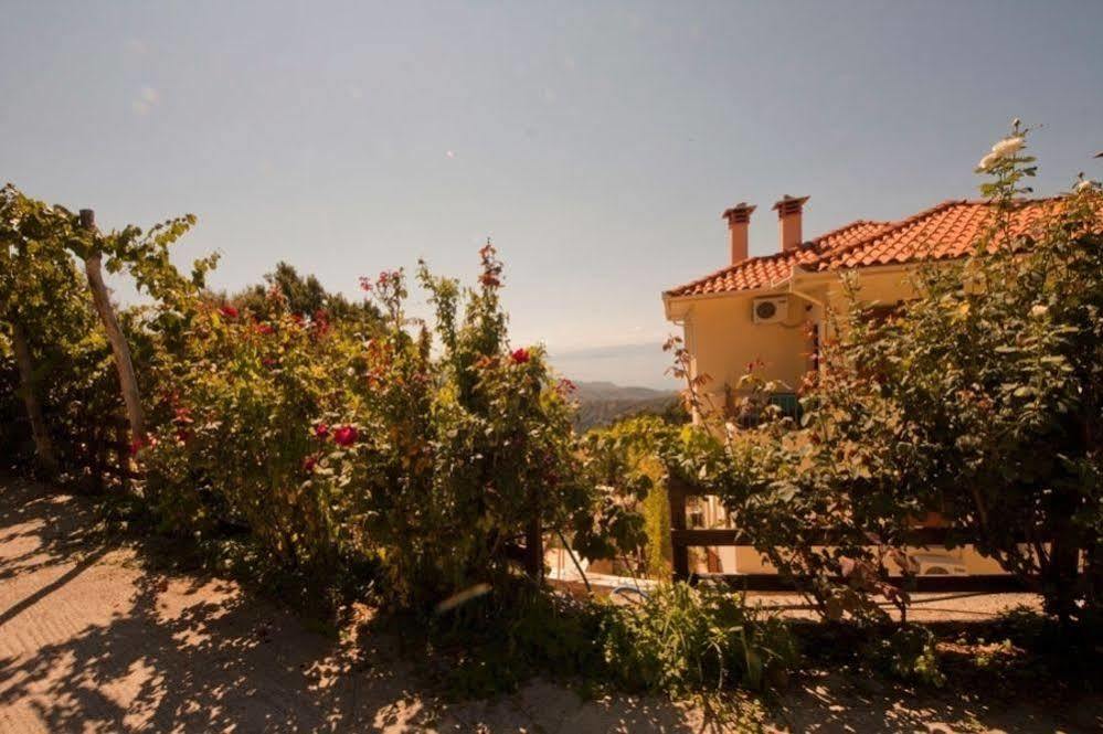 Rastoni Pelion Hotel Vizítsa Eksteriør billede