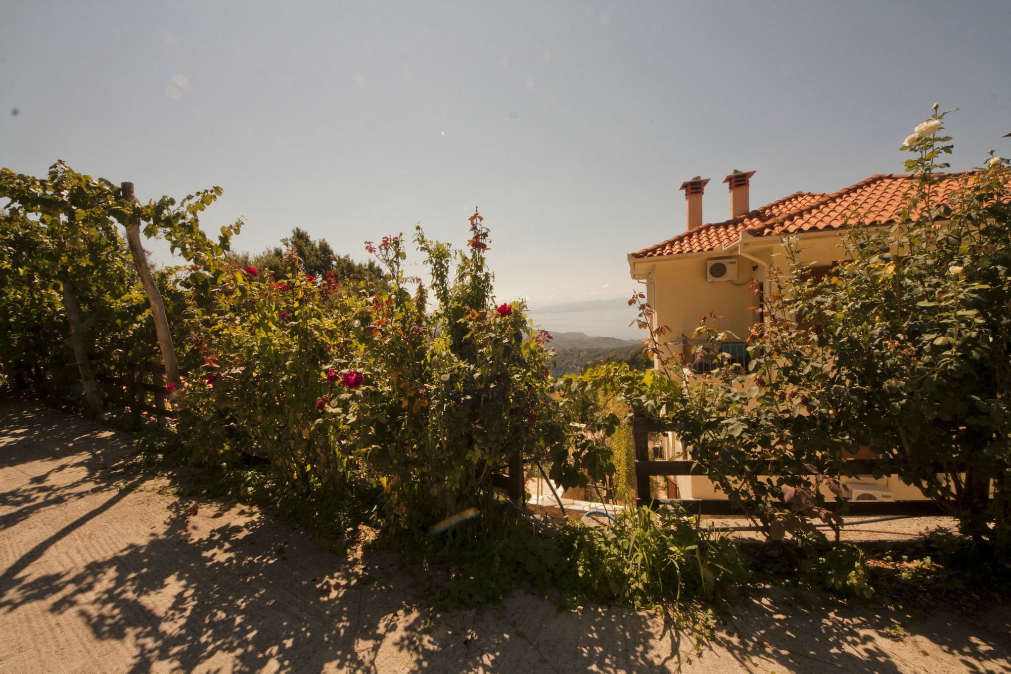 Rastoni Pelion Hotel Vizítsa Eksteriør billede